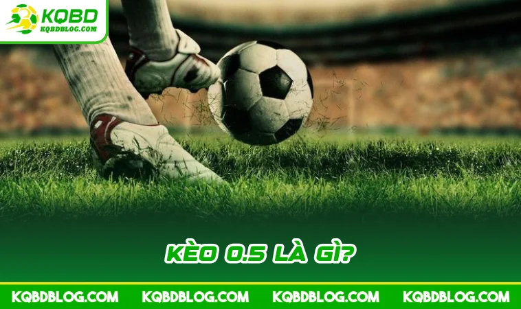 keo 0 5 la gi Kèo 0.5 là gì?