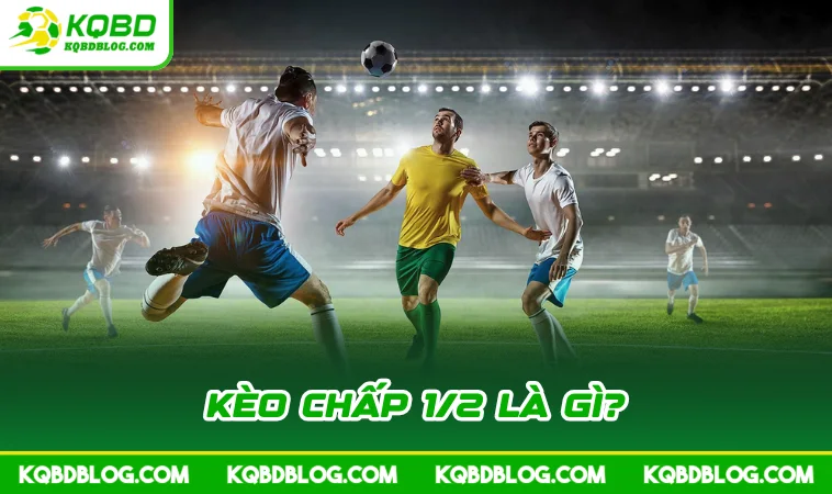keo chap 1 2 la gi Kèo chấp 1/2 là gì?